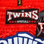 Детские шорты муай тай Twins Special (TBS-02 red)